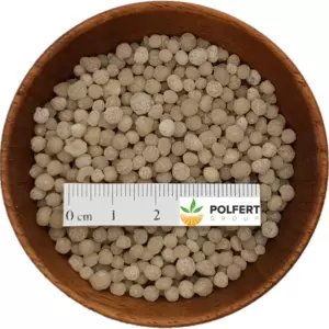 DAP 18-46 Litwa